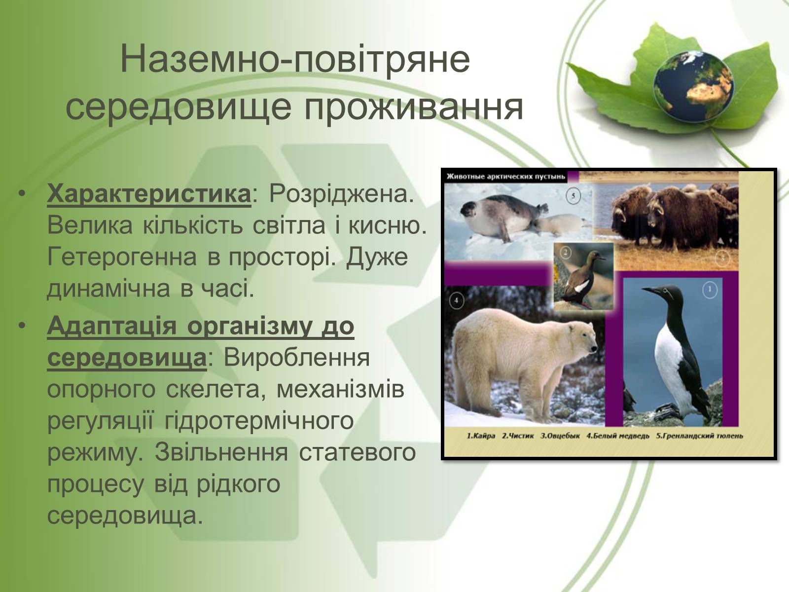 Презентація на тему «Середовище проживання живих організмів» - Слайд #6