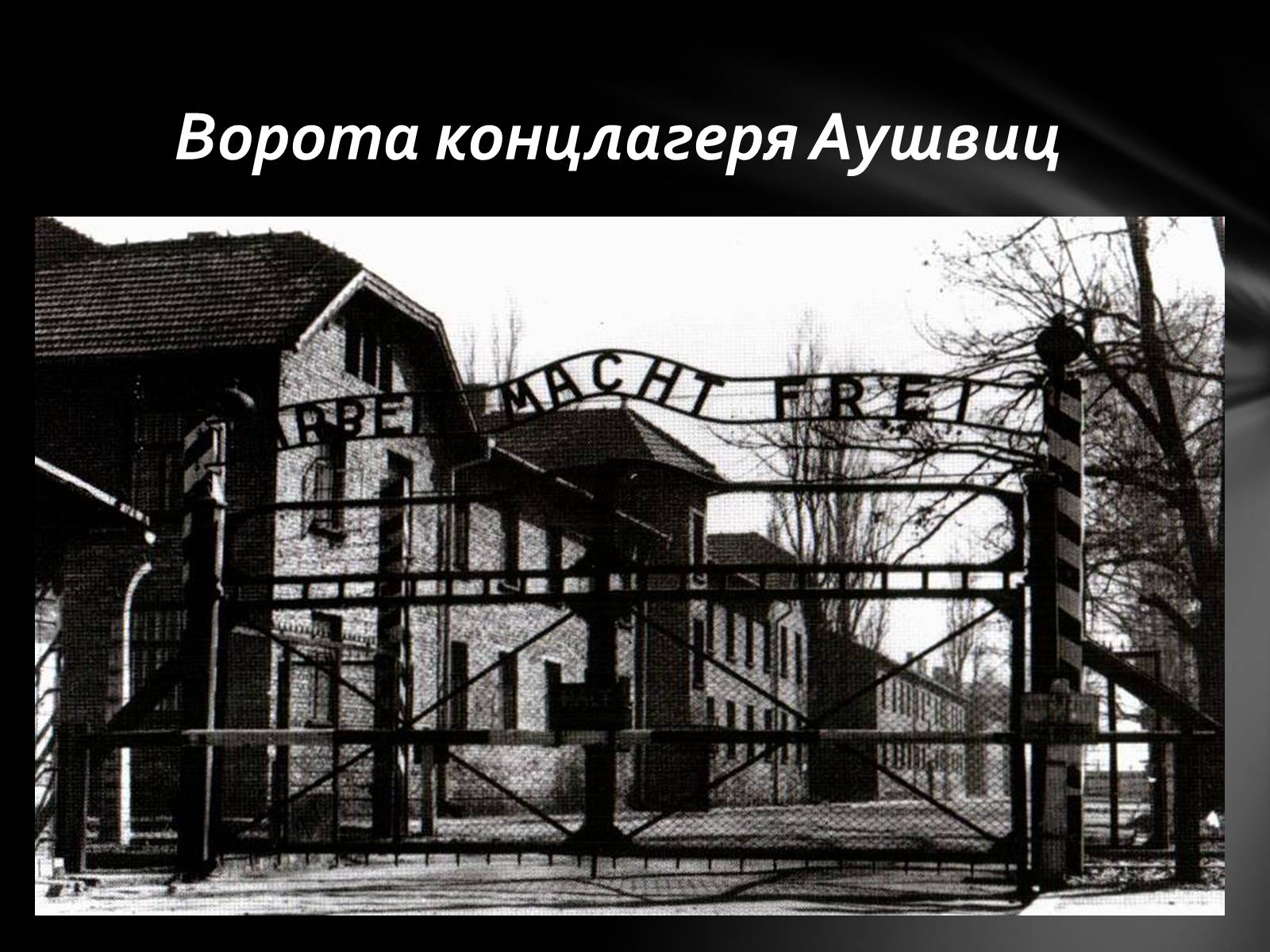 Презентація на тему «Память о Холокосте» - Слайд #10